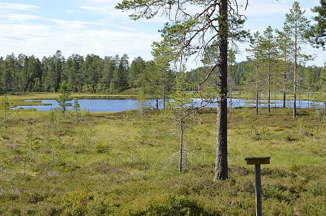 Naturreservat Dalarna – Dalarnas Naturreservat