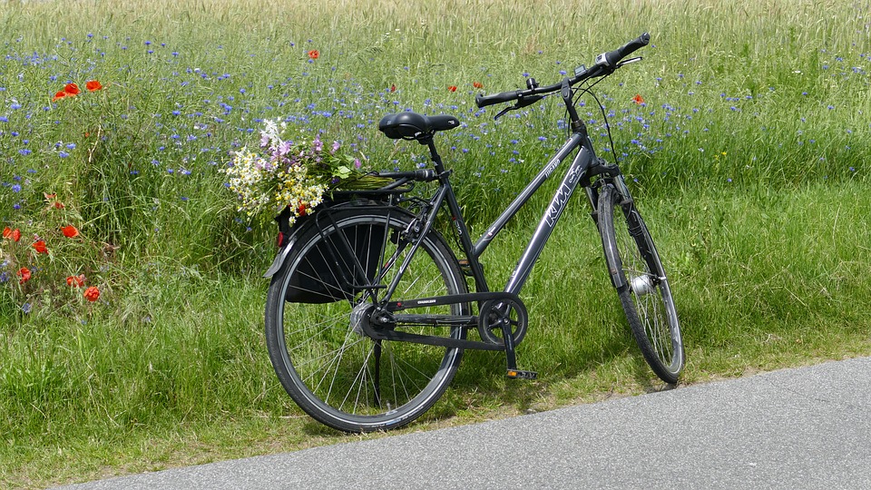 Cykla i Falun – Cykling i falun